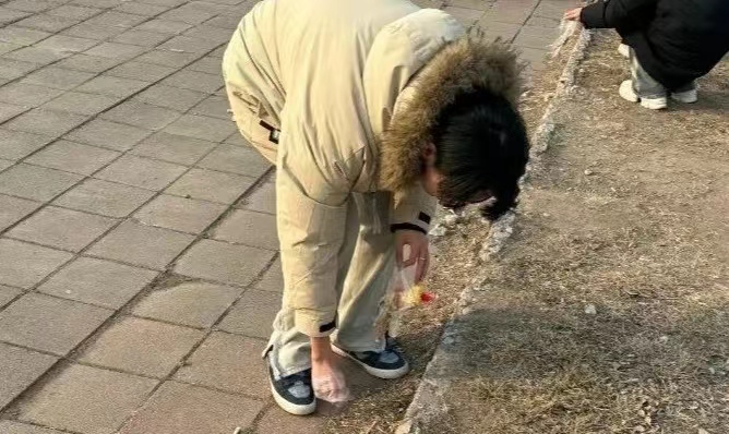 2024331162339.jpg 2024331162339.jpg