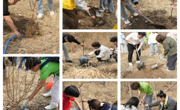 绿色校园、你我共建——3652026年植树活动纪实