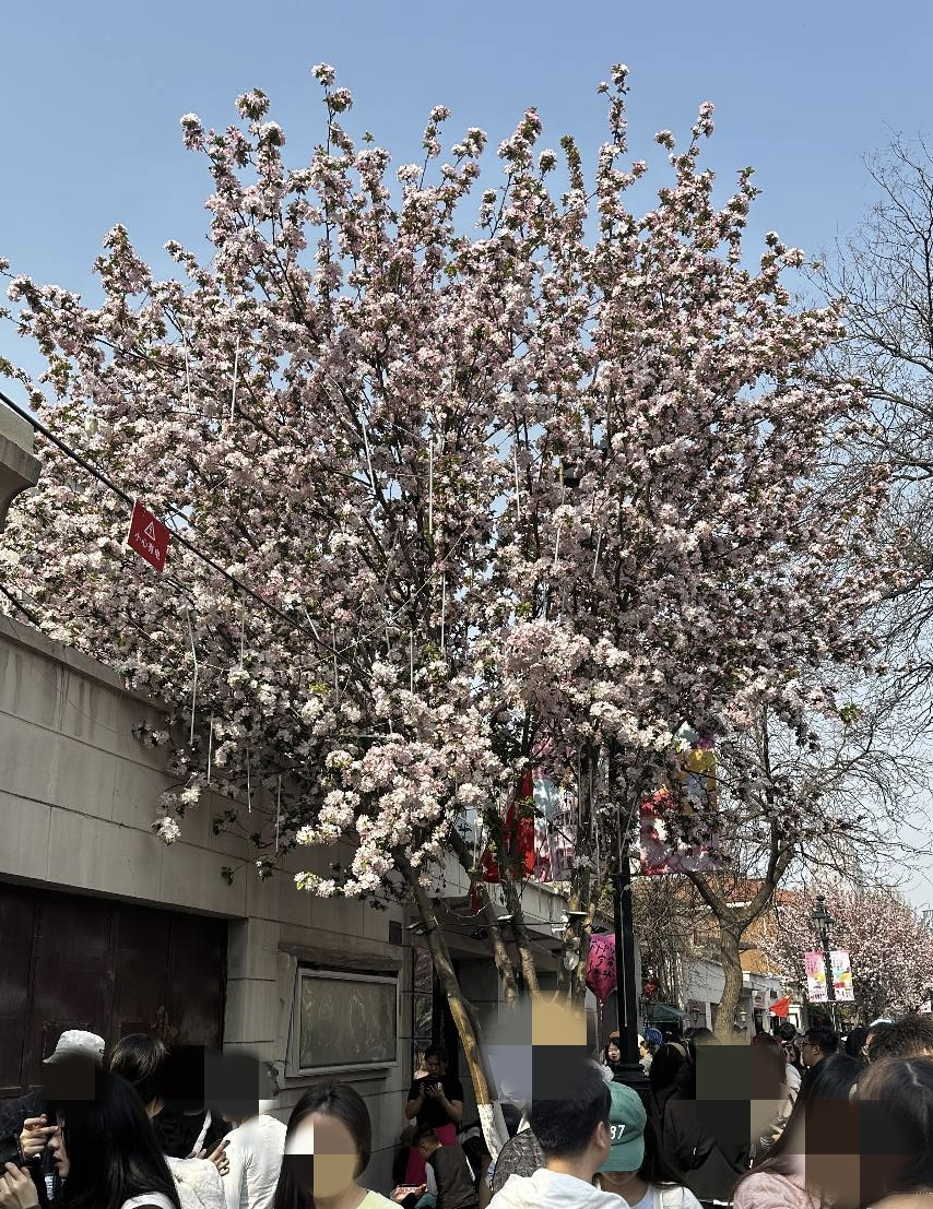 微信图片_20250325204038 微信图片_20250325204038